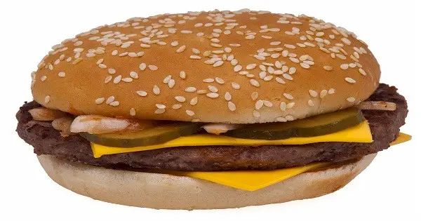 Utah Man Shows Off 20 Year Old Mcdonalds Hamburger